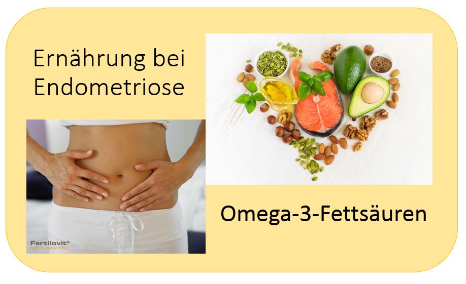 Ernährung bei Endometriose Omega 3 Fettsäuren Fruchtbarkeit Blog